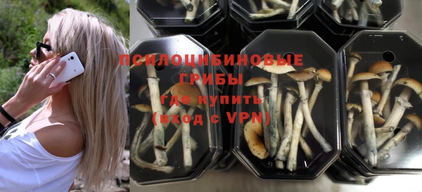 круглые Вязьма