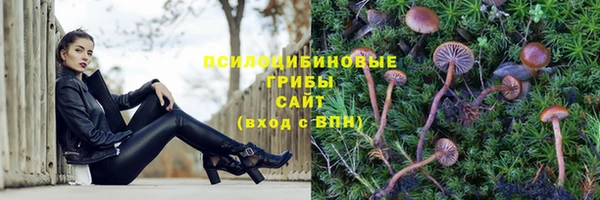мескалин Вяземский